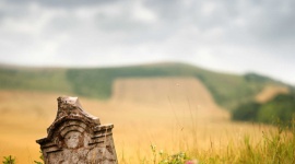 Upamiętnianie zmarłych. Co decyduje o cenie nagrobka? BIZNES, Finanse - W Polsce najpopularniejszym sposobem żegnania zmarłych pozostaje tradycyjny pochówek na cmentarzu. W przeważającej większości przypadków towarzyszy temu upamiętnienie za pomocą kamiennego nagrobka, wykonanego zazwyczaj z granitu.