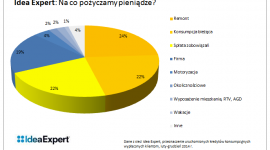 Co piąty Polak pożycza na bieżące życie BIZNES, Finanse - Jak pokazują dane Idea Expert, ogólnopolskiej sieci pośrednictwa finansowego, w 2014 roku pożyczaliśmy przede wszystkim na cele związane z poprawą warunków mieszkaniowych (remonty). Na taki cel kredyt w Idea Expert wzięło 24 proc. klientów.