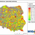 Geomarketing – przydatne narzędzie w rozwoju bankowości