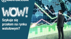 Nowa usługa WOW – czy to będzie przełom na rynku walutowym? BIZNES, Finanse - Nie masz teraz środków w Portfelu, a chcesz wymienić walutę po aktualnie dostępnym kursie? Skorzystaj z wymiany z odroczoną wpłatą (WOW) – nowej usługi w ofercie Rkantor.com!