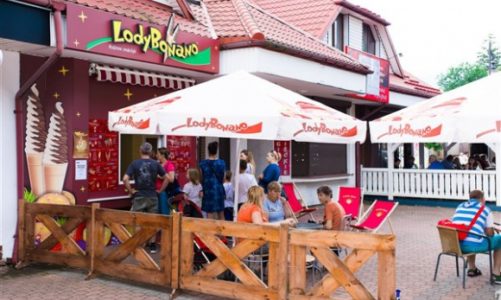 Wchodzisz i zarabiasz