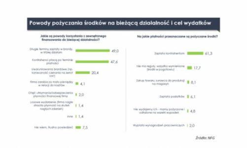 Mikrofirmy nie pożyczają, więc się nie rozwijają