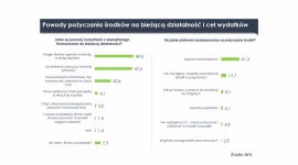 Mikrofirmy nie pożyczają, więc się nie rozwijają BIZNES, Finanse - Zaledwie 30-40% przedsiębiorców regularnie pożycza pieniądze, aby sfinansować bieżącą działalność czy inwestycje. Są to małe i średnie firmy. Na drugim biegunie znajdują się mikroprzedsiębiorstwa, które nie korzystają z zewnętrznego wsparcia, tylko wykorzystują kapitał własny.