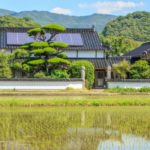 Japończycy mają prąd prawie za darmo – to efekt koronawirusa i inwestycji w OZE