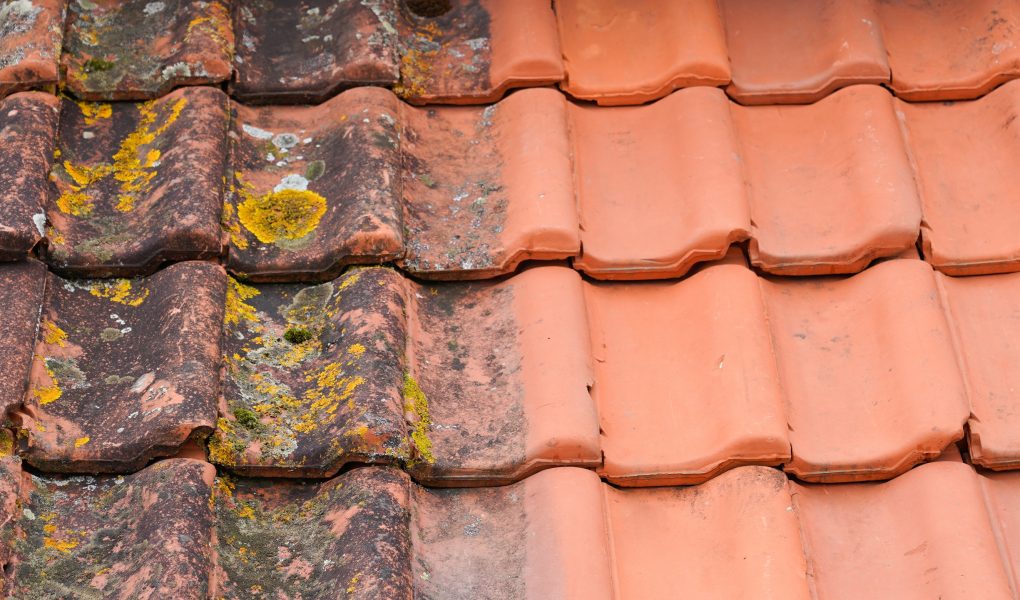 Szczelny dach – zdążysz zabezpieczyć go przed zimą – Oczyszczenie z nalotów organicznych, impregnacja i uszczelnienie